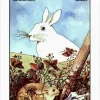 “A Longa Jornada” Richard Adams