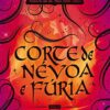 “Corte de névoa e fúria – Corte de espinhos e rosas – vol. 2” Sarah J. Maas