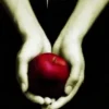 “Crepúsculo” John Green