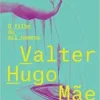 “O filho de mil homens” Valter Hugo Mãe